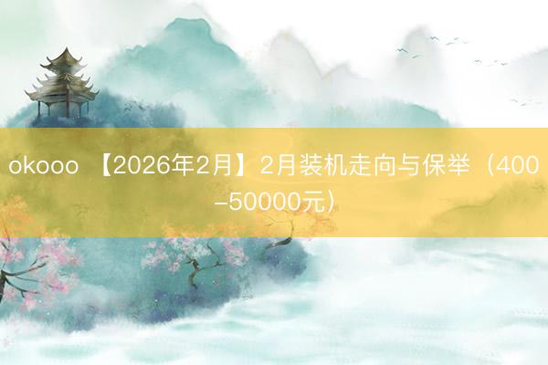 okooo 【2026年2月】2月装机走向与保举（400-50000元）