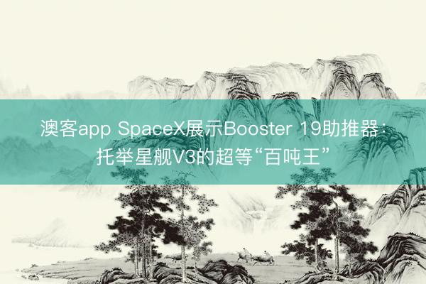 澳客app SpaceX展示Booster 19助推器：托举星舰V3的超等“百吨王”