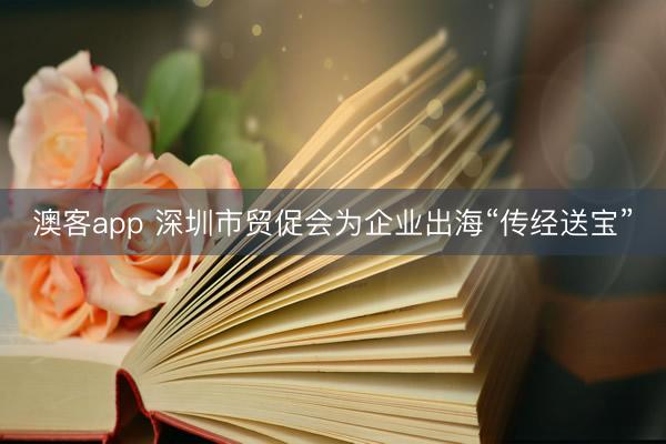 澳客app 深圳市贸促会为企业出海“传经送宝”
