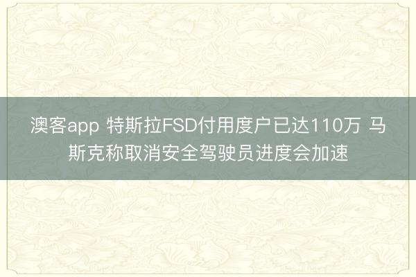 澳客app 特斯拉FSD付用度户已达110万 马斯克称取消安全驾驶员进度会加速