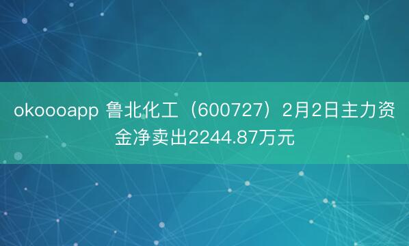 okoooapp 鲁北化工（600727）2月2日主力资金净卖出2244.87万元