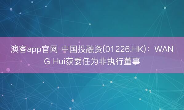 澳客app官网 中国投融资(01226.HK)：WANG Hui获委任为非执行董事