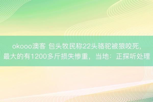 okooo澳客 包头牧民称22头骆驼被狼咬死，最大的有1200多斤损失惨重，当地：正探听处理