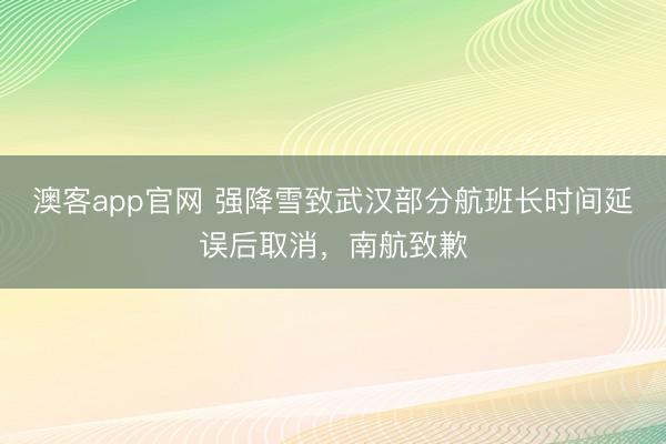 澳客app官网 强降雪致武汉部分航班长时间延误后取消，南航致歉