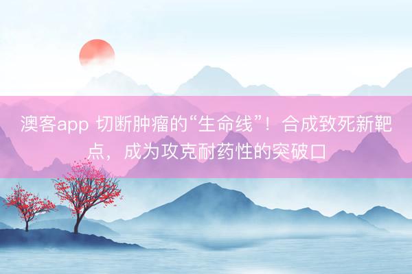 澳客app 切断肿瘤的“生命线”！合成致死新靶点，成为攻克耐药性的突破口