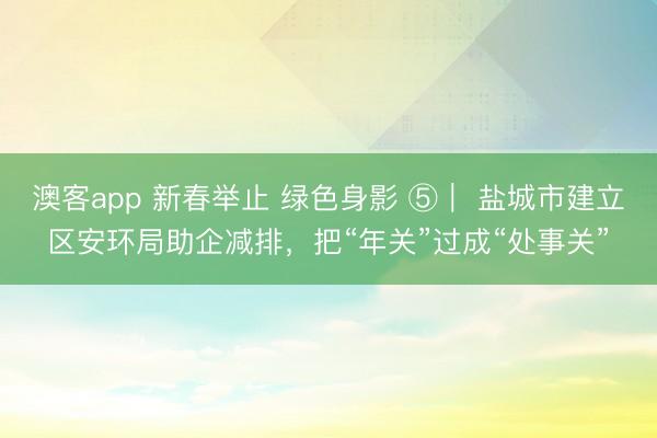 澳客app 新春举止 绿色身影 ⑤｜ 盐城市建立区安环局助企减排，把“年关”过成“处事关”