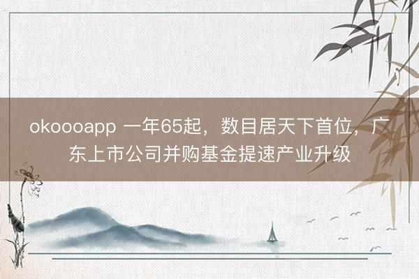 okoooapp 一年65起，数目居天下首位，广东上市公司并购基金提速产业升级