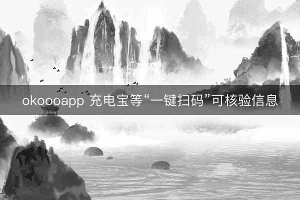 okoooapp 充电宝等“一键扫码”可核验信息