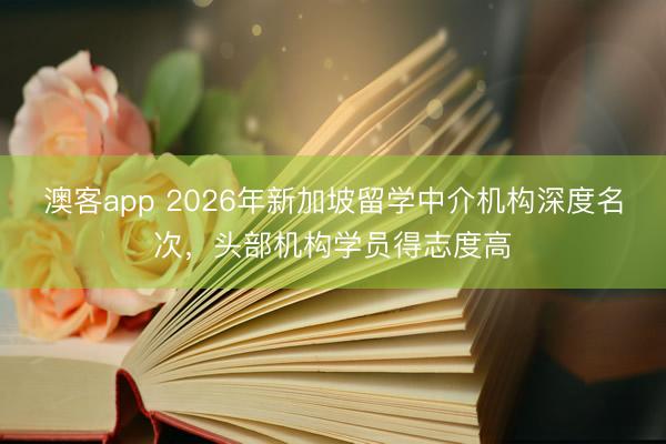 澳客app 2026年新加坡留学中介机构深度名次，头部机构学员得志度高