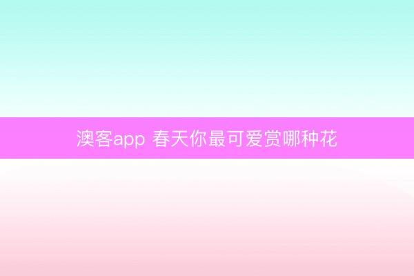 澳客app 春天你最可爱赏哪种花