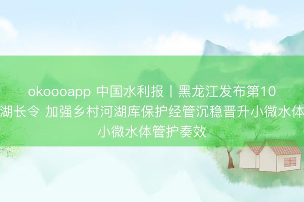 okoooapp 中国水利报丨黑龙江发布第10号省总河湖长令 加强乡村河湖库保护经管沉稳晋升小微水体管护奏效