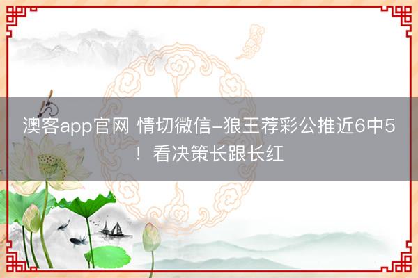 澳客app官网 情切微信-狼王荐彩公推近6中5!看决策长跟长红