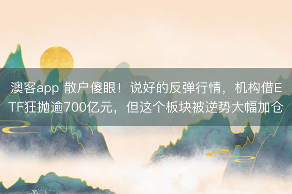 澳客app 散户傻眼！说好的反弹行情，机构借ETF狂抛逾700亿元，但这个板块被逆势大幅加仓