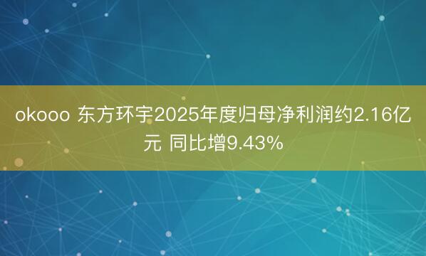 okooo 东方环宇2025年度归母净利润约2.16亿元 同比增9.43%