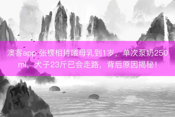 澳客app 张檬相持喂母乳到1岁，单次泵奶250ml，犬子23斤已会走路，背后原因揭秘！