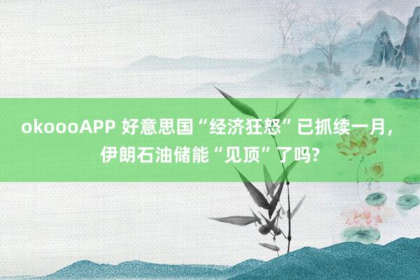 okoooAPP 好意思国“经济狂怒”已抓续一月， 伊朗石油储能“见顶”了吗?
