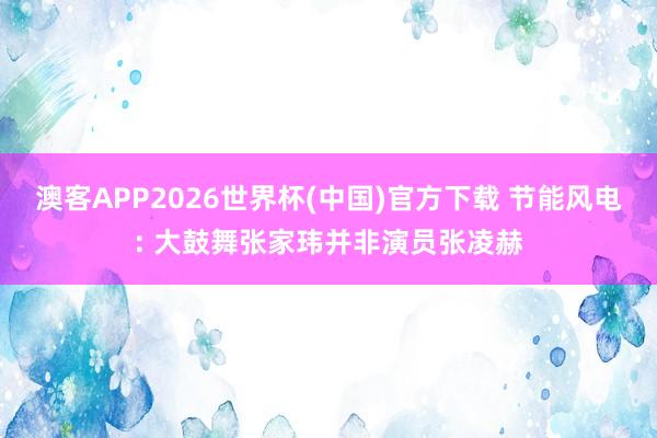 澳客APP2026世界杯(中国)官方下载 节能风电: 大鼓舞张家玮并非演员张凌赫