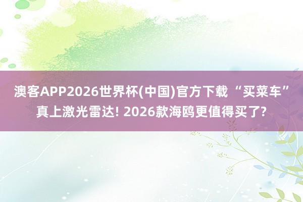 澳客APP2026世界杯(中国)官方下载 “买菜车”真上激光雷达! 2026款海鸥更值得买了?