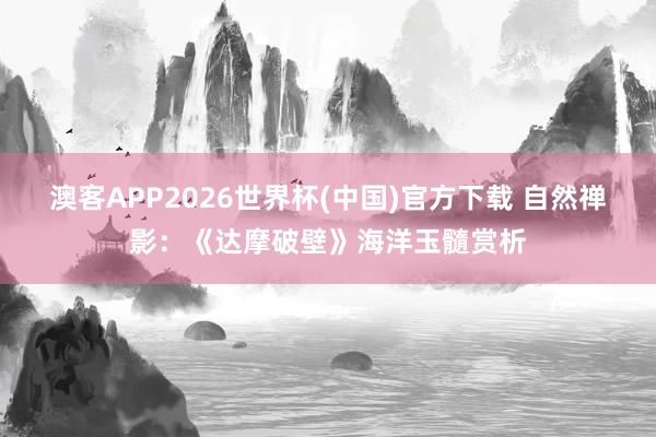 澳客APP2026世界杯(中国)官方下载 自然禅影：《达摩破壁》海洋玉髓赏析