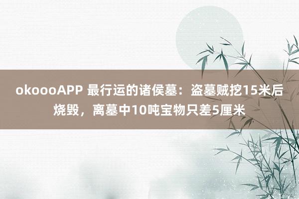 okoooAPP 最行运的诸侯墓：盗墓贼挖15米后烧毁，离墓中10吨宝物只差5厘米