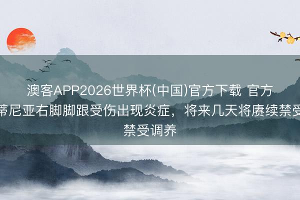 澳客APP2026世界杯(中国)官方下载 官方：维蒂尼亚右脚脚跟受伤出现炎症，将来几天将赓续禁受调养