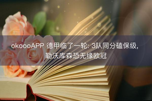 okoooAPP 德甲临了一轮: 3队同分磕保级， 勒沃库森恐无缘欧冠