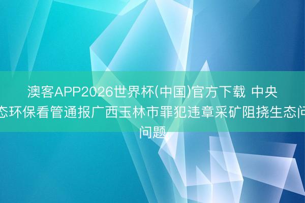 澳客APP2026世界杯(中国)官方下载 中央生态环保看管通报广西玉林市罪犯违章采矿阻挠生态问题