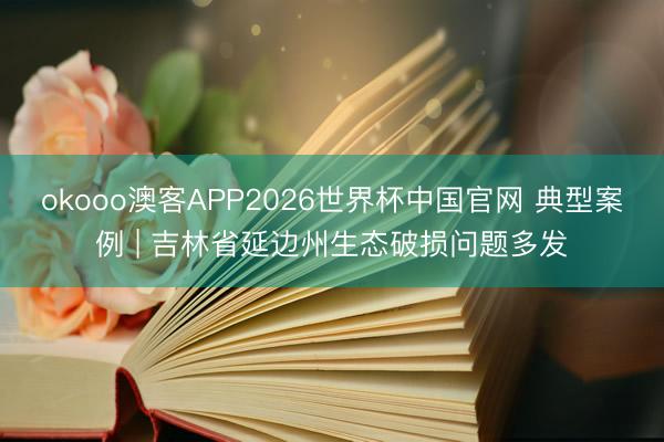 okooo澳客APP2026世界杯中国官网 典型案例 | 吉林省延边州生态破损问题多发