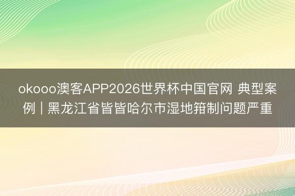 okooo澳客APP2026世界杯中国官网 典型案例 | 黑龙江省皆皆哈尔市湿地箝制问题严重