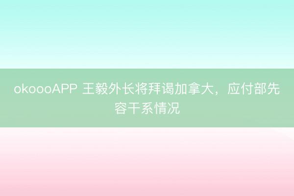 okoooAPP 王毅外长将拜谒加拿大，应付部先容干系情况