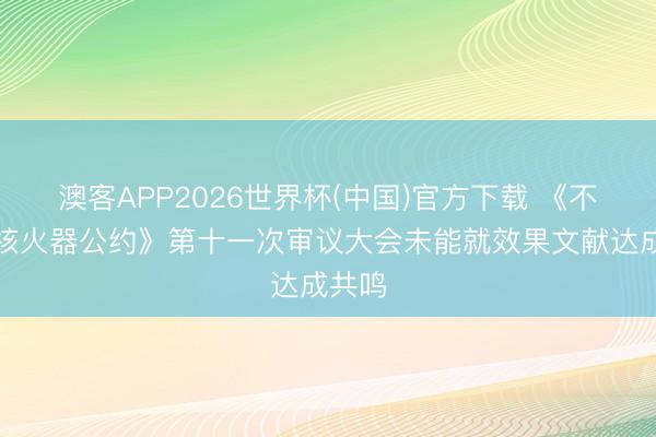 澳客APP2026世界杯(中国)官方下载 《不扩散核火器公约》第十一次审议大会未能就效果文献达成共鸣