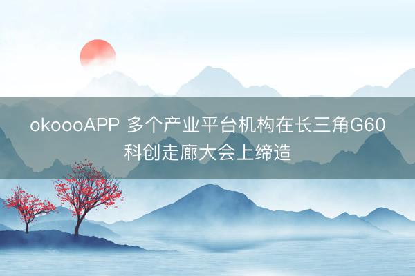 okoooAPP 多个产业平台机构在长三角G60科创走廊大会上缔造