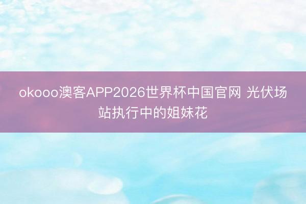 okooo澳客APP2026世界杯中国官网 光伏场站执行中的姐妹花