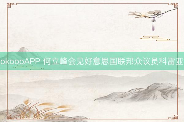 okoooAPP 何立峰会见好意思国联邦众议员科雷亚