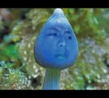 【藍瘦香菇】藍瘦香菇哥本人照片曝光：背後真相竟是？