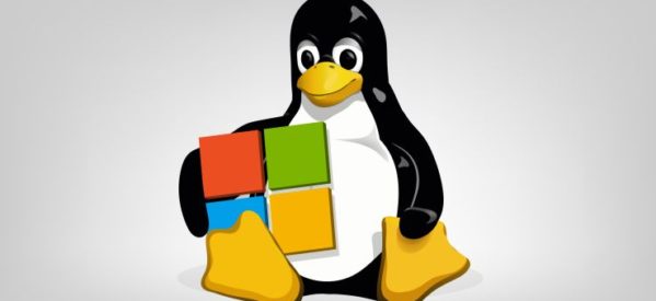 微軟 Microsoft 宣佈加入 Linux 基金會